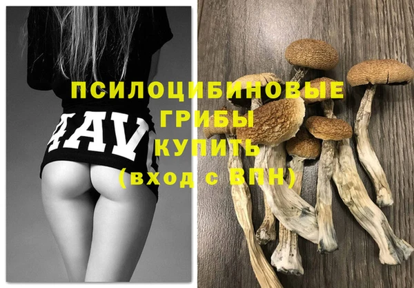 прущие крисы Алексеевка