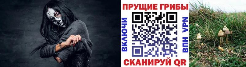 ссылка на мегу сайт  Беломорск  Галлюциногенные грибы Psilocybine cubensis 